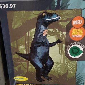 Inflatable raptor costume